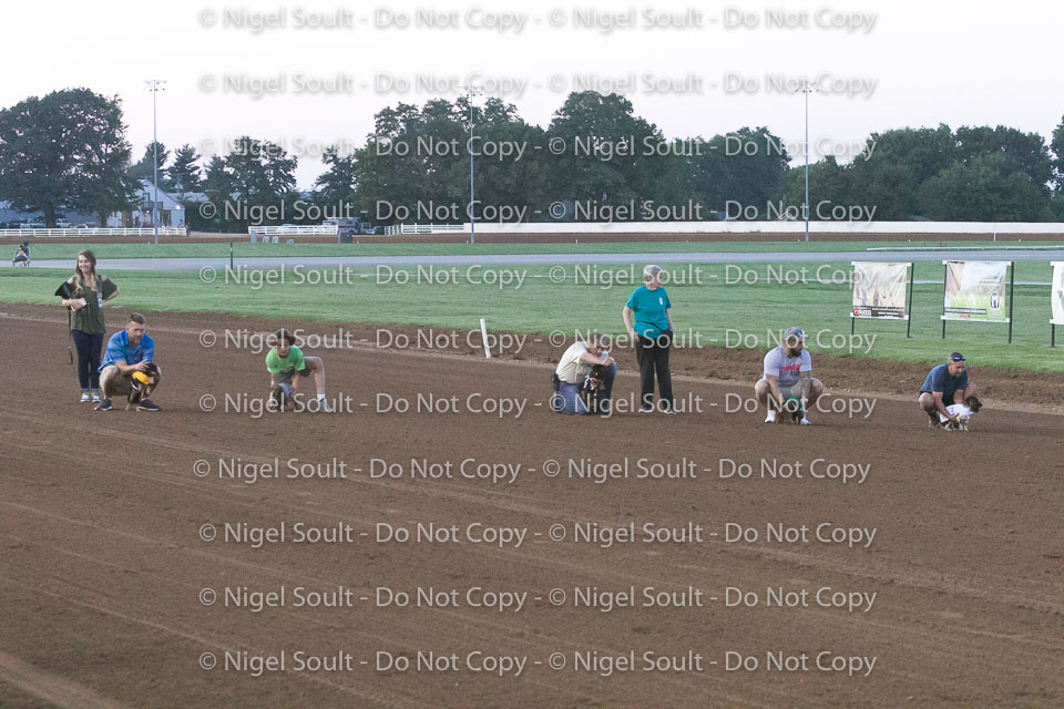 Weiner Dog Races 2018-178