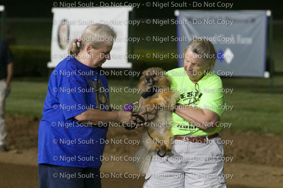 Weiner Dog Races 2018-247