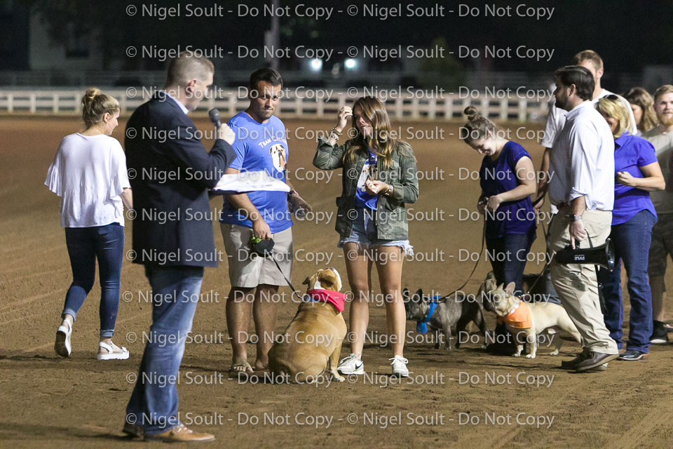 Weiner Dog Races 2018-327