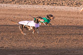 Weiner-Dog-Races-2018-153.jpg