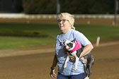 Weiner-Dog-Races-2018-244.jpg