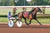 07-25-19-FIN-Race-4.jpg