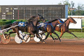 07-27-19-FIN-Race-4.jpg