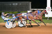 07-27-19-FIN-Race-8.jpg