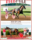 Win Photos