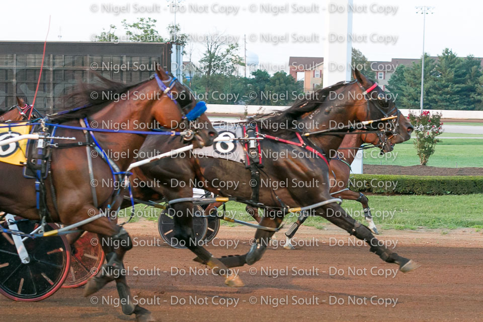 07-28-19 FIN Race-5