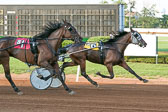 08-01-19-FIN-Race-3.jpg