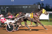 08-01-19-FIN-Race-7.jpg