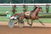 08-03-19-FIN-Race-6.jpg