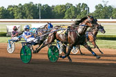 08-10-19-FIN-Race-1.jpg