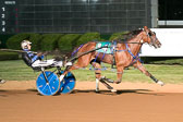 08-10-19-FIN-Race-8.jpg