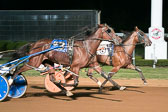 08-17-19-FIN-Race-8.jpg