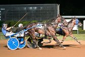 08-18-19-FIN-Race-13.jpg