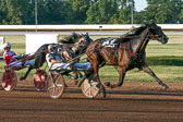08-24-19-FIN-Race-2.jpg
