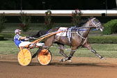 08-24-19-FIN-Race-9.jpg
