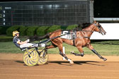 08-31-19-FIN-Race-4.jpg