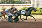 09-15-19-FIN-Race-10.jpg