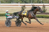 09-26-19-FIN-Race-4.jpg
