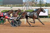 09-27-19-FIN-Race-6.jpg