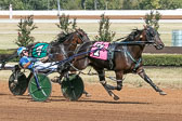 09-28-19-FIN-Race-3.jpg