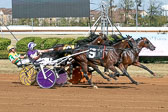 10-03-19-FIN-Race-6.jpg
