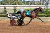 10-04-19-FIN-Race-2.jpg
