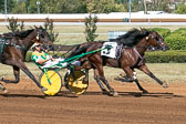 10-04-19-FIN-Race-7.jpg