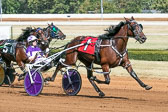 10-05-19-FIN-Race-1.jpg
